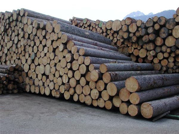 legno per impianti a biomasse